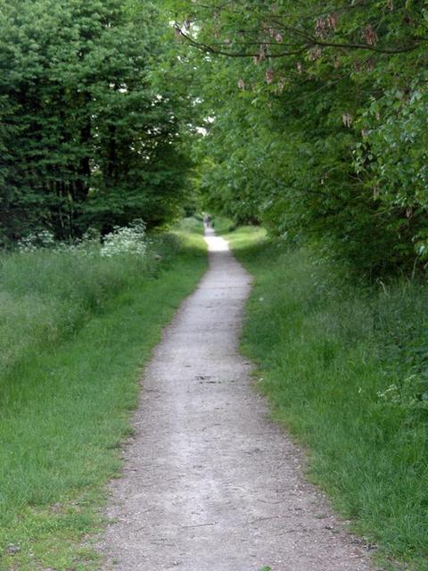 I first tried this very nice path to the river Demer, but there was no way to walk along the riverside to the point.