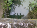 #10: Corine, Adriaan and Bert reflected in a small river. (From a bridge)