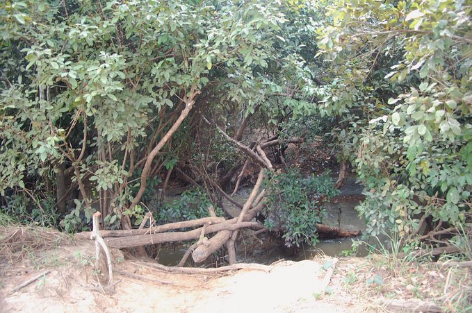 One of the stream crossings