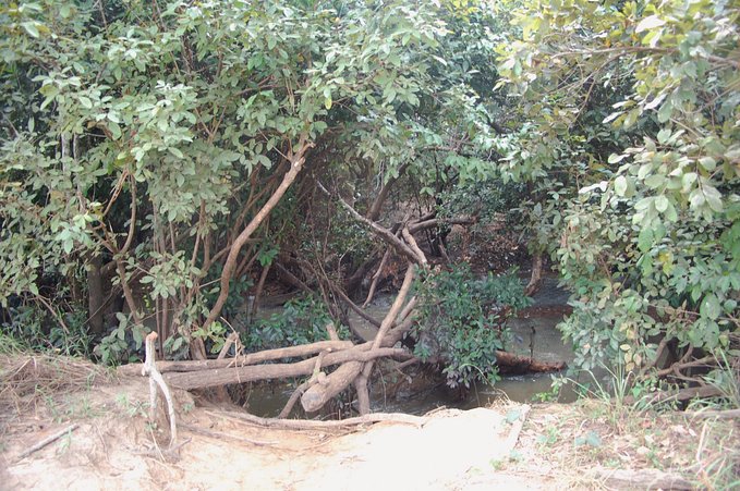 One of the stream crossings