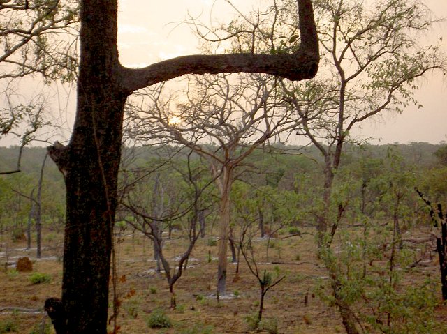 African sunset to the West