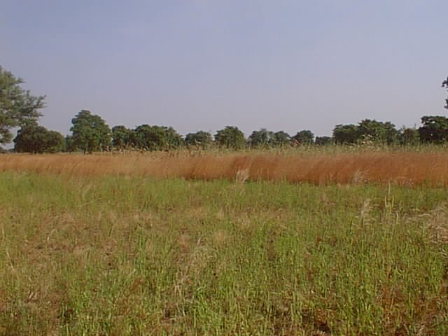 Looking south into Ghana