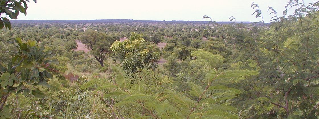 Here's the panoramic view a bit to the east of the point.