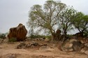 #9: Trees growing between granite blocks