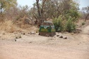 #6: Park W game preserve at the corner of Benin, Niger and Burkina