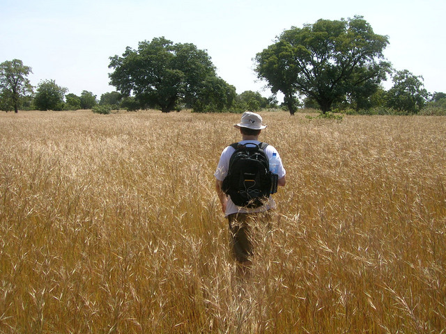 Hiking through elephant grass to the Confluence