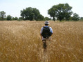 #10: Hiking through elephant grass to the Confluence