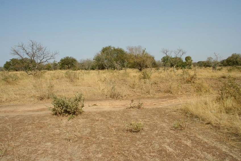 The point and view to the North