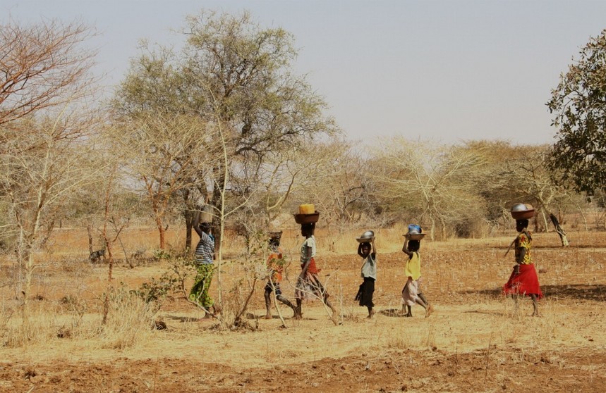 Walking in the bush