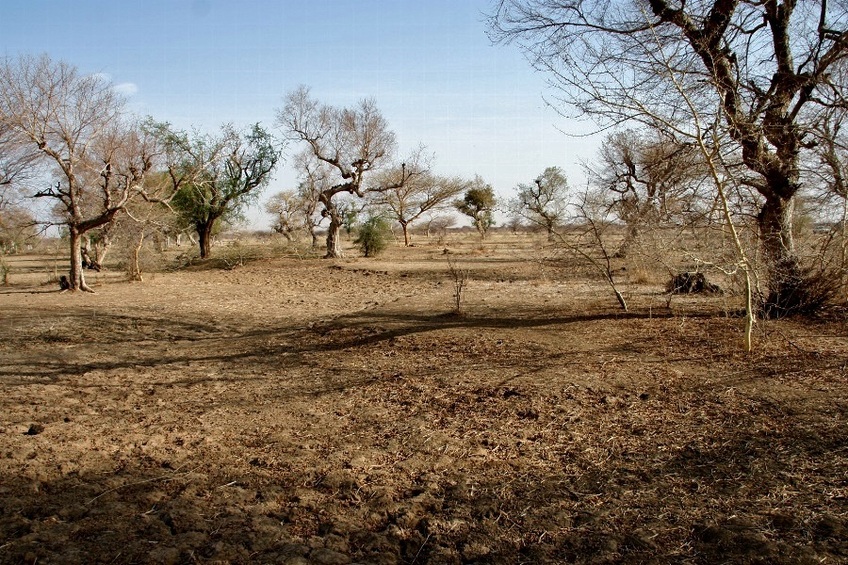 The point and view to the North