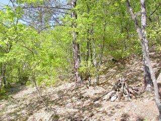 #1: View of the confluence