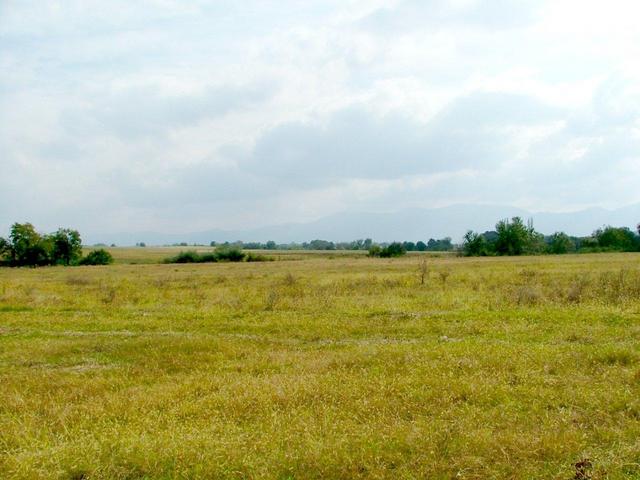 A view from the confluence to the South.