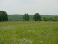 #4: 42°N 28°E View Westward