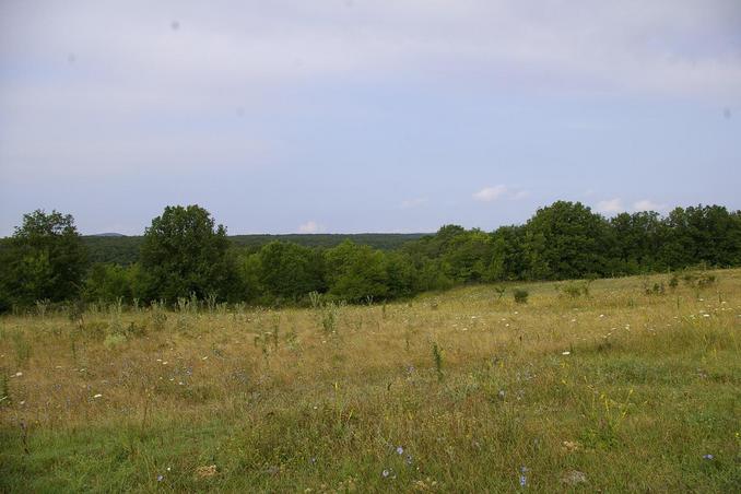 East