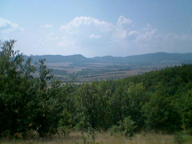 The panorama