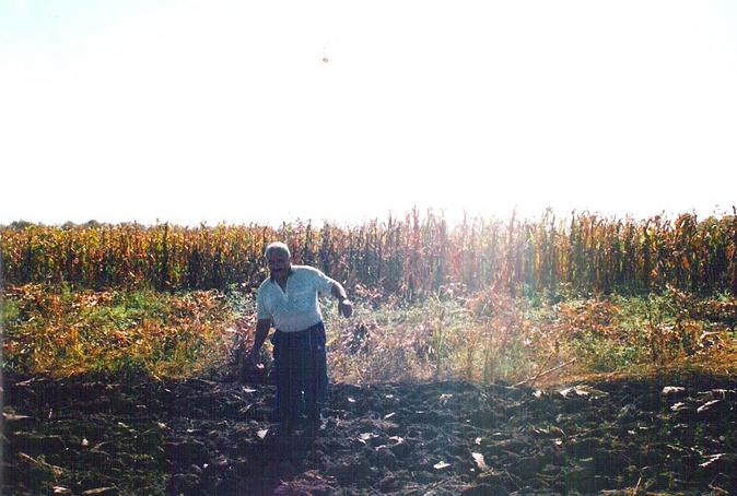 View to the south with the local farmer coming over for a chat