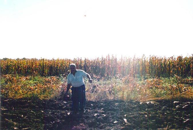 View to the south with the local farmer coming over for a chat