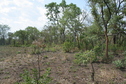 #2: View to north