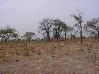 #1: Taken from the confluence point looking northwest