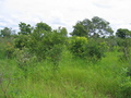 #4: View to the South