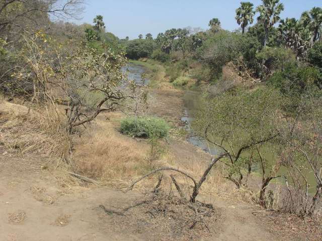 Pendjari National Park