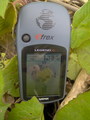 #5: GPS view