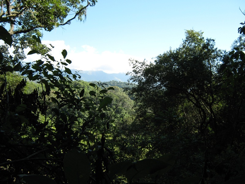 Vista Norte. North view