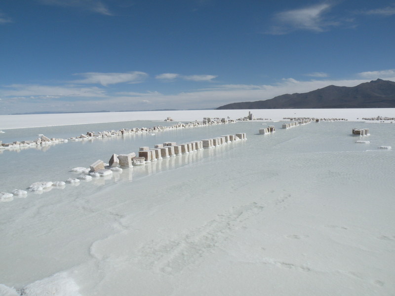 Salt Bricks 