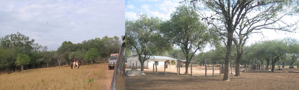 Estancia chaqueña