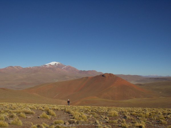 Landscape around the point