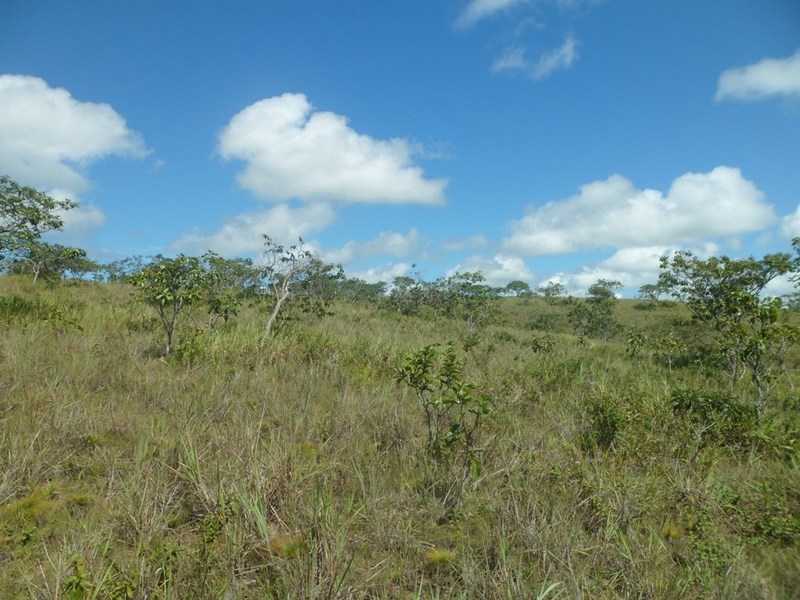 Visão oeste - west view