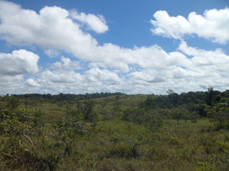 Visão norte - north view