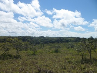 #1: Visão geral - general view