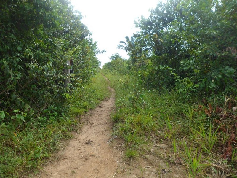 Início da caminhada - beginning of hike