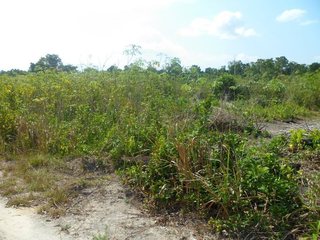 #1: Visão geral - general view