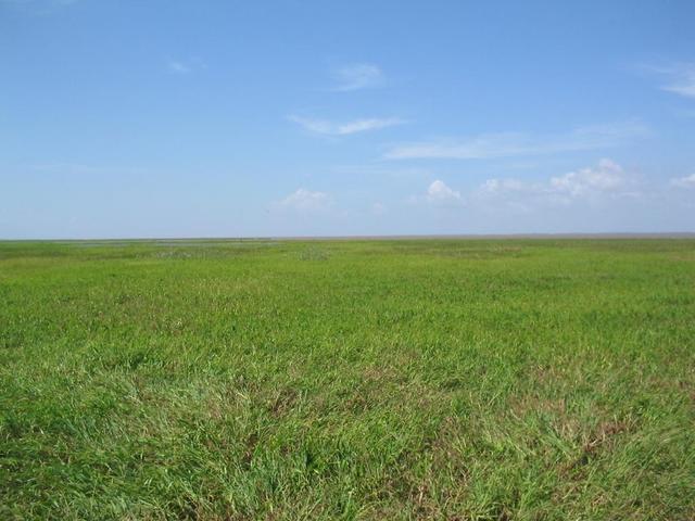 foto para o leste