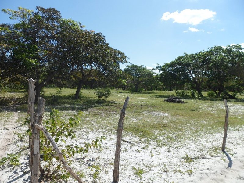 Caminhada parte 2: área aberta - walking part 2: open area