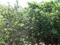 #3: Visão norte - north view