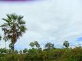#5: General view of CP region