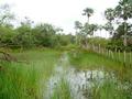#8: Flooded trail with 1m deep water