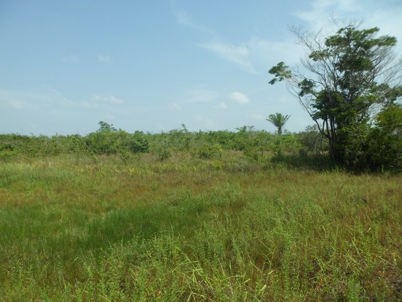 Visão geral - general view