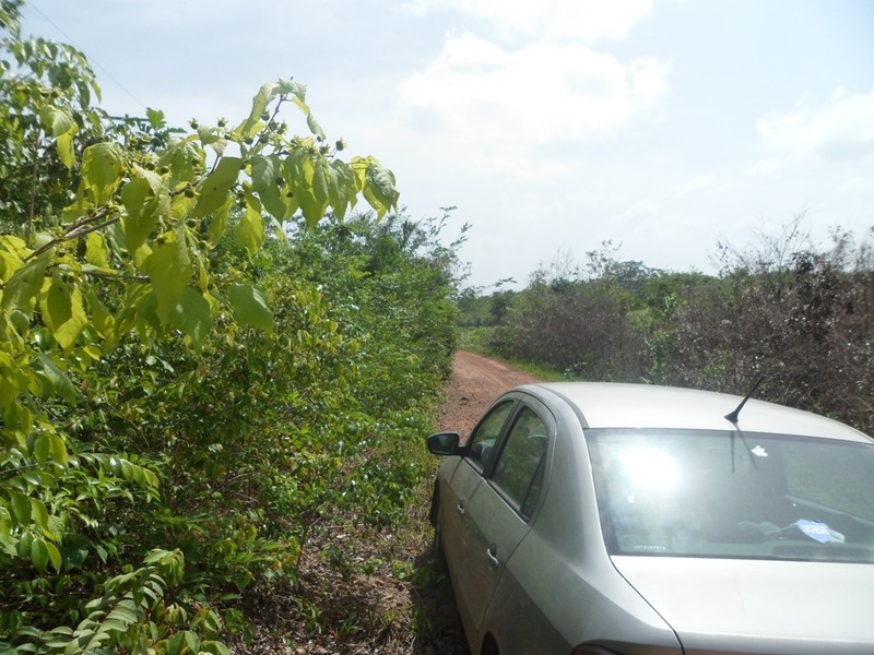 Paramos o carro a 600 metros da confluência - we stopped the car 600 meters to the confluence