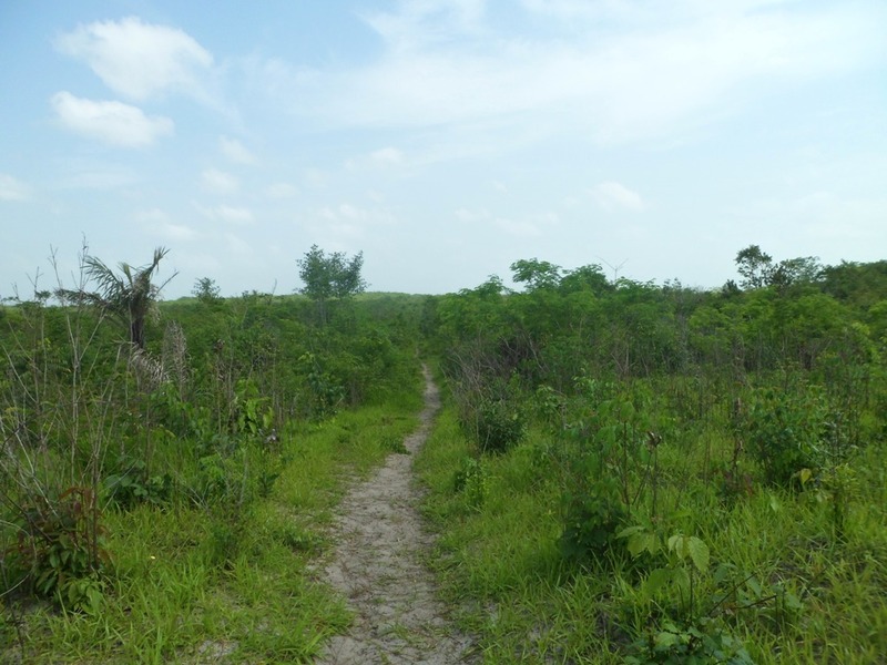 Caminhada até a confluência, parte 1 - hiking to the confluence, part 1