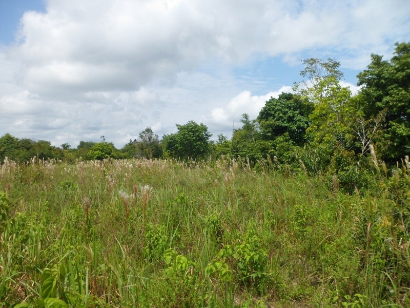 Visão geral - general view