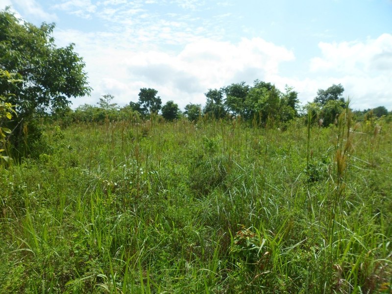 Visão leste - east view