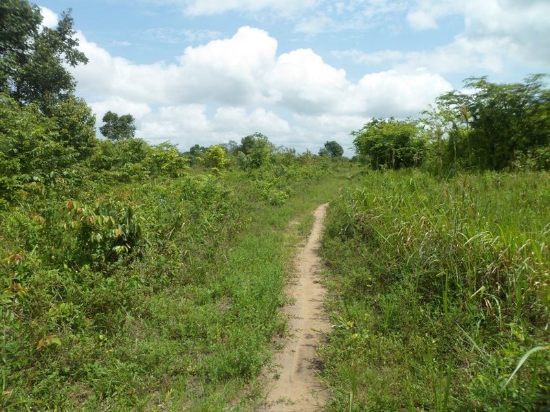 A trilha passa a 60 metros da confluência - track passes 60 meters to the confluence