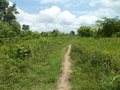#7: A trilha passa a 60 metros da confluência - track passes 60 meters to the confluence