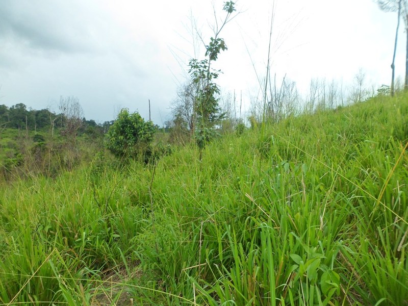 Visão geral - general view