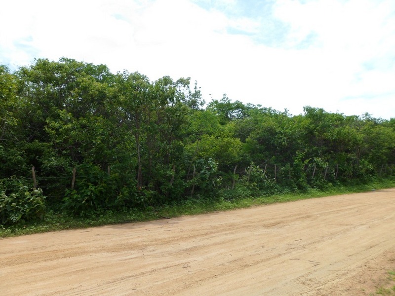 Visão geral - general view