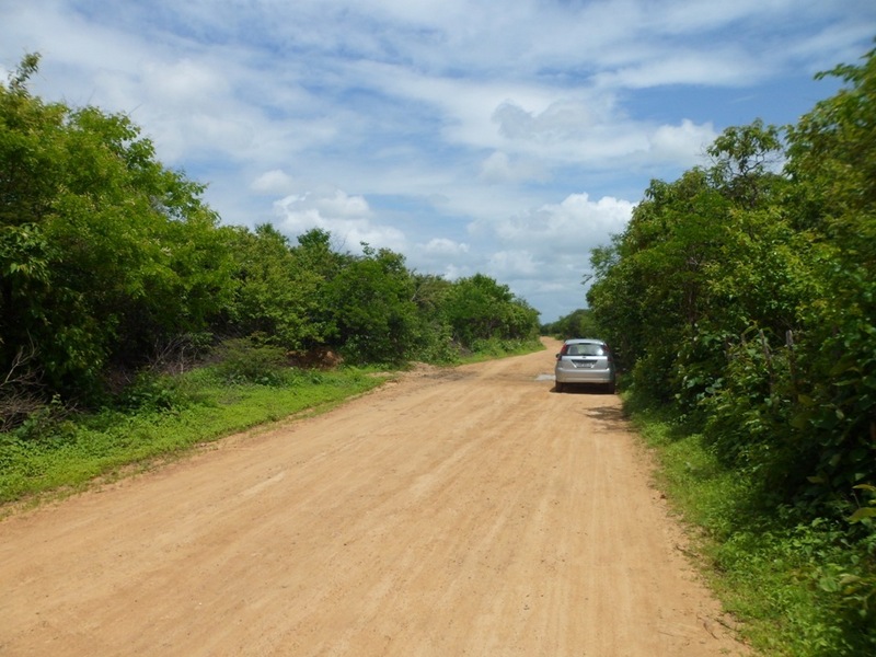 Visão oeste - west view